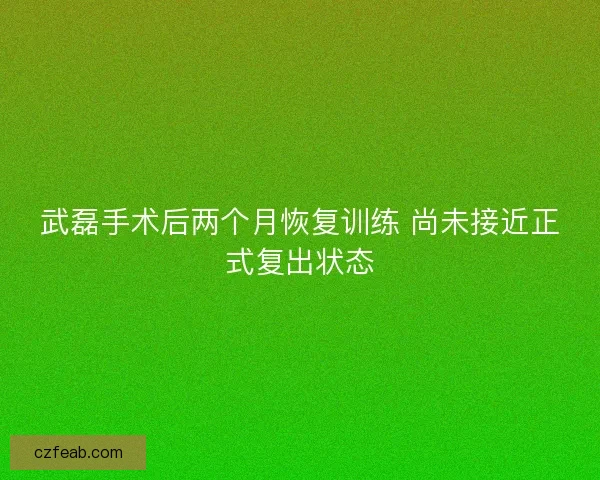 武磊手术后两个月恢复训练 尚未接近正式复出状态